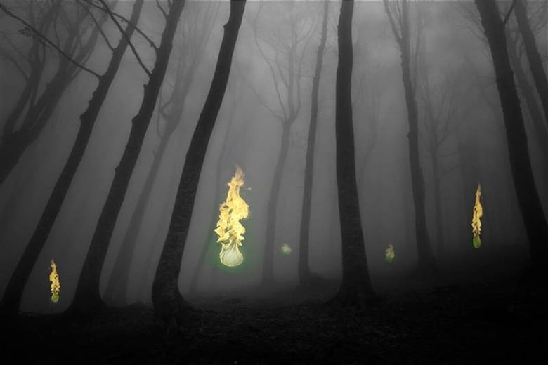 墓場や湿地帯での火の玉は、世界中で目撃されているようだ　MartiBstock-shutterstock