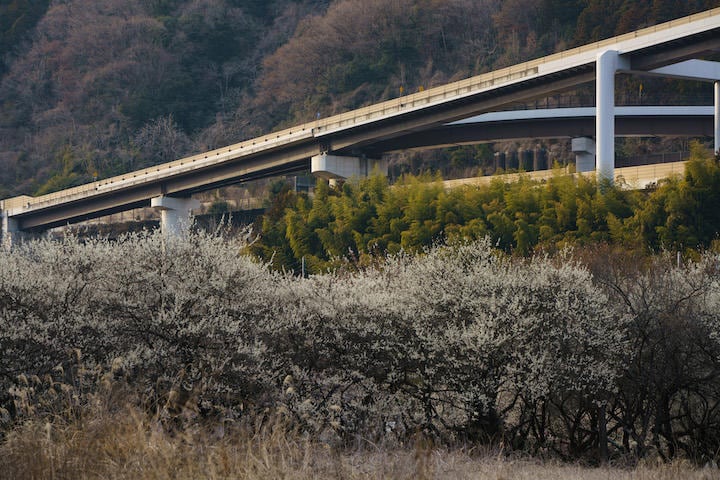 撮影：内村コースケ