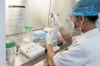 新型コロナウイルス治療薬、約10種の既存薬の化合物が有効な可能性