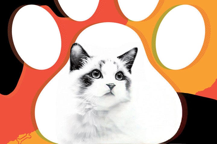 PHOTO ILLUSTRATION BY SLATE. PHOTO BY THINKSTOCK