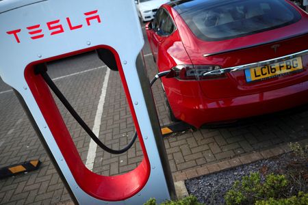 米電気自動車（ＥＶ）大手テスラのイーロン・マスク最高経営責任者（ＣＥＯ）は１０日、急速充電ネットワークの拡大に５億ドル以上を投じると発表した。９日撮影（２０２４年　ロイター/Hannah McKay）