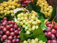 「ぶどう1粒で逮捕」のニュースは、もっと背景の報道を