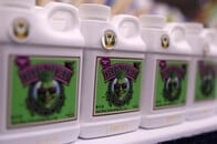 合法化拡大で成長の大麻ビジネス　膨らむ商機に転身するITエリートたち