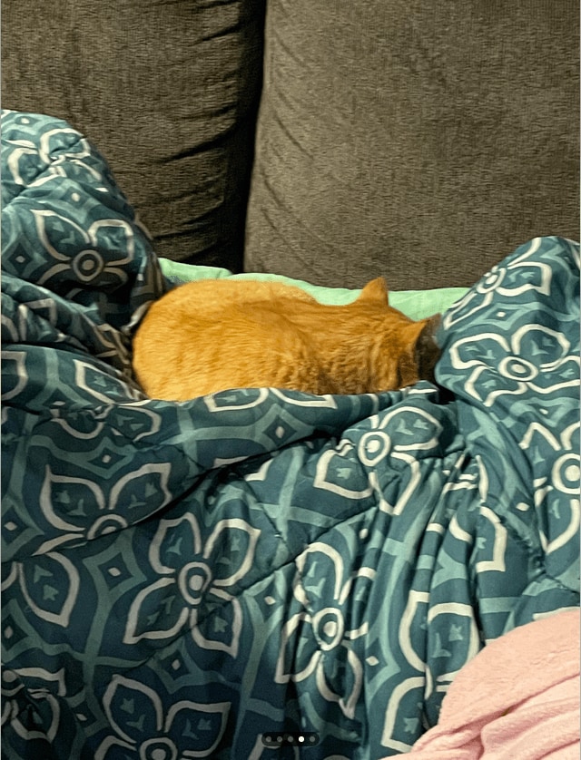 スクリーンショット (56).png