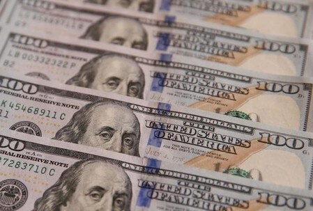　１１月３０日、ニューヨーク外為市場では、ＯＰＥＣの減産合意を受けてドルは１１４．５３円に上昇し、３月２日以来９カ月ぶり高値を付けた。１００ドル紙幣、キエフで先月撮影（２０１６年　ロイター／Valentyn Ogirenko）