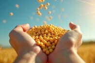 【銘柄】イラン情勢で注目される「丸紅」　いま、食料安全保障が投資テーマとして期待される理由