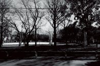 地下鉄サリン直前のオウムの状況は、今の日本社会と重複する（森達也）