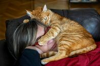 猫との触れ合い、実はストレス解消にならない？　猫の飼い主だけが見せた意外な感情