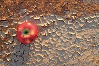 日本独自の要因がもたらす「フードデザート」問題...「貧困対策」だけでは解決しない社会問題の深刻度