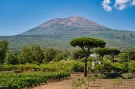 火山噴火で埋もれた古代都市のパピルスがAIによって解読される…そこに書かれていたこととは？