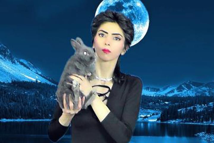 犯人と特定されたナシーム・ナジャフィ・アグダム　www.nasimesabz.com/より