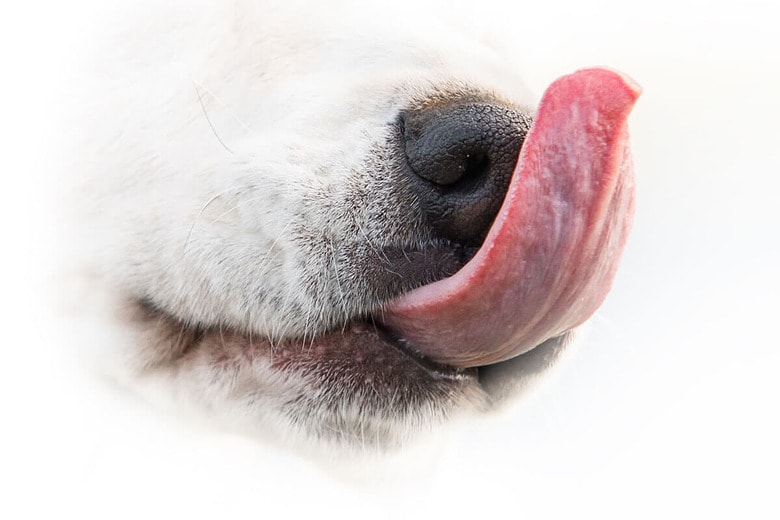 （写真はイメージです）　Soloviova Liudmyla-shutterstock