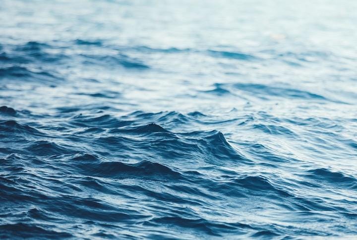 海洋環境には無数のウイルスが存在する...... borchee-iStock