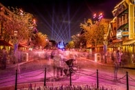 「ディズニーパークに遺灰がまかれている」という都市伝説は事実だった