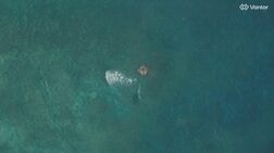 比、スカボロー礁の浮体撤去を中国に要求　人工島化を警戒