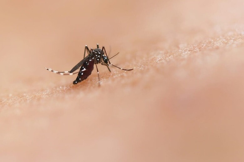 National Institute of Allergy and Infectious Diseases-Unsplash