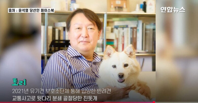 ユン大統領が逮捕執行直前に気にかけていた「トリ」　Yonhapnews / YouTube