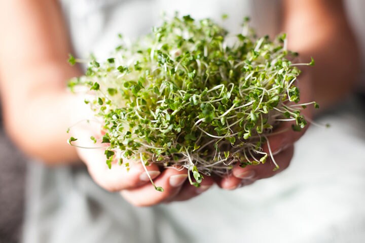 生で食べるよりも…（写真はイメージ）　AnnaRise-iStock