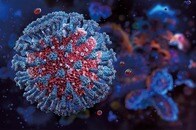 新型コロナ変異株「フラート」が感染拡大中...今夏は「爆発と強さ」に要警戒