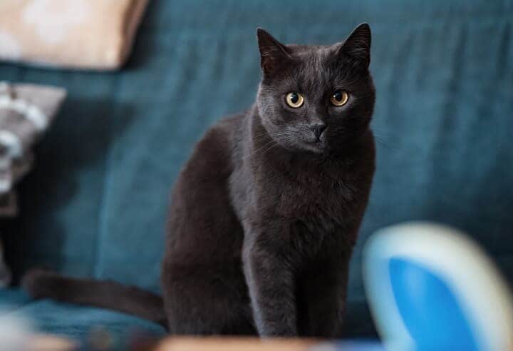 （写真はイメージです）　Timbicus-iStock