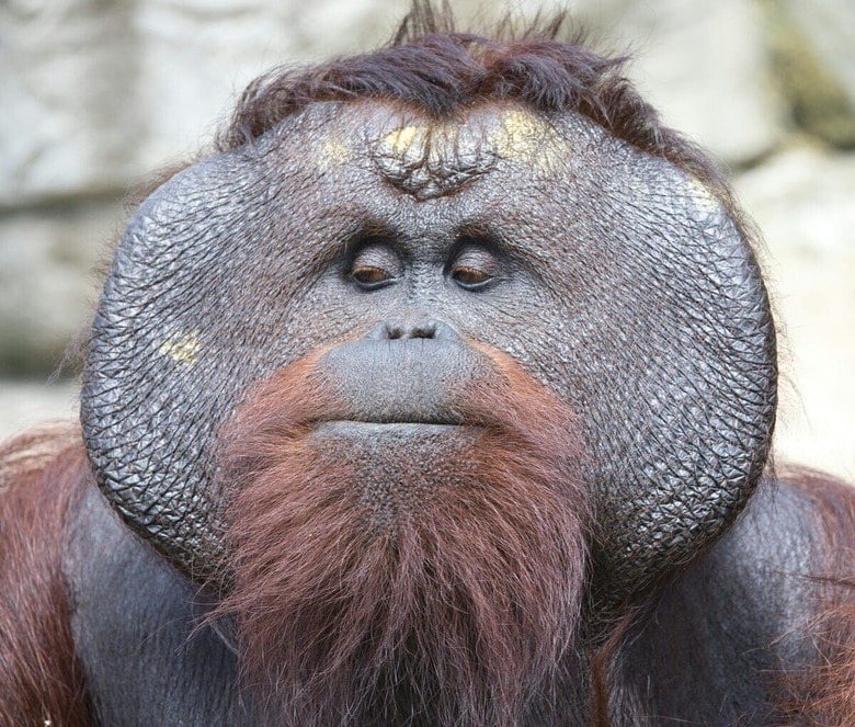 （写真はイメージです）David Valentine-Unsplash