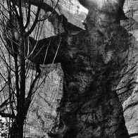 「スラム化した地方」に生きる人々への賛美を表す5枚の写真