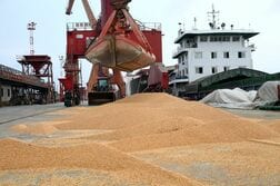中国国有企業が米国産大豆を大量購入、習主席の訪米控え
