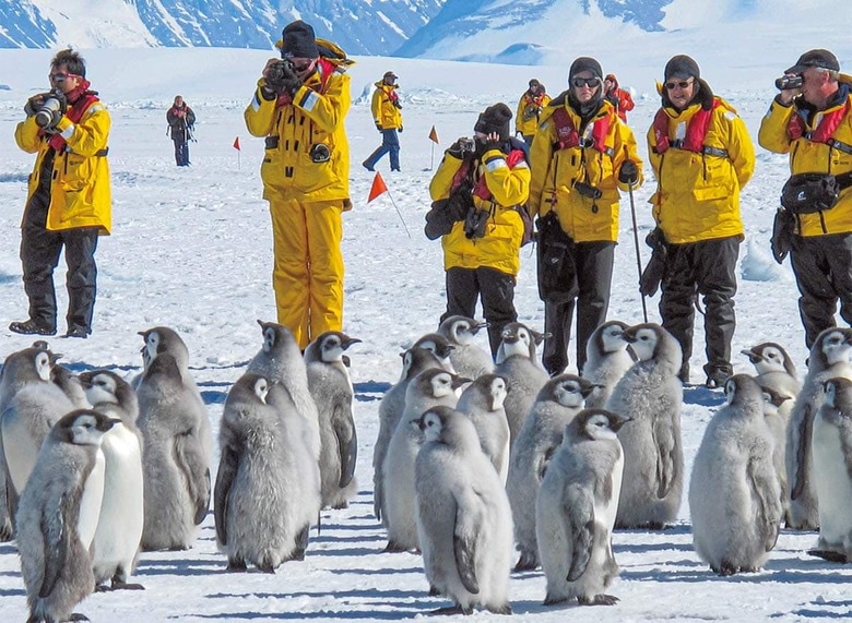 ペンギンなどの野生生物に親しめるのも魅力だが、外来種を持ち込んだり、温暖化ガスを大量排出するリスクも　VARGAJONES/ISTOCK