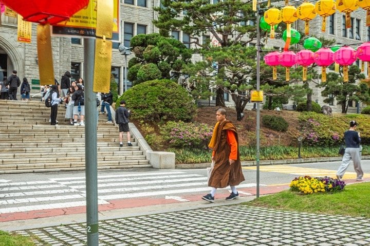 東国大学校は仏教系の大学のため、キャンパスにはこんな姿の学生も（撮影＝筆者）