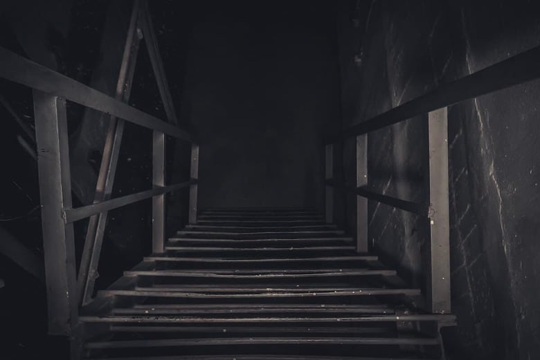 （写真はイメージです）　Vladimir Batishchev-Shutterstock