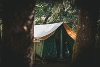 【写真】「野生生物」が家族キャンプに飛び入り、謎の行動の意味は...