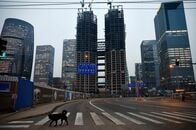 中国投資家、米国株ファンドに殺到　対外投資枠拡大受け