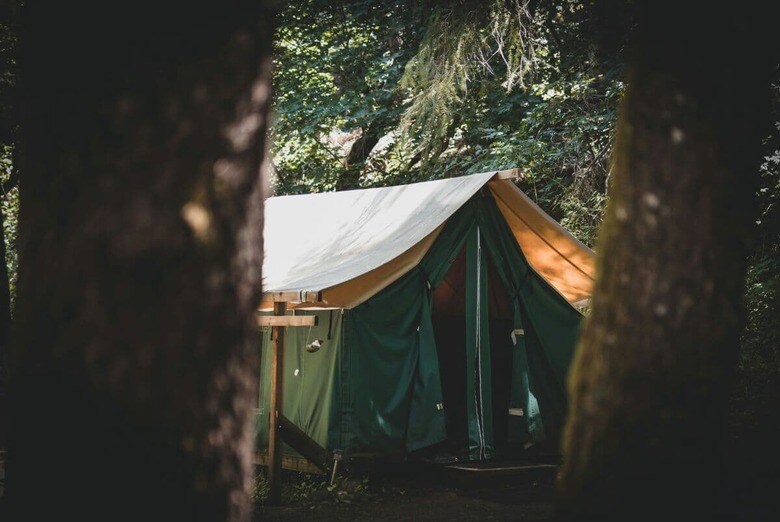キャンプで楽しむ野生との出会い（写真はイメージです）　Hari Nandakumar-unsplash