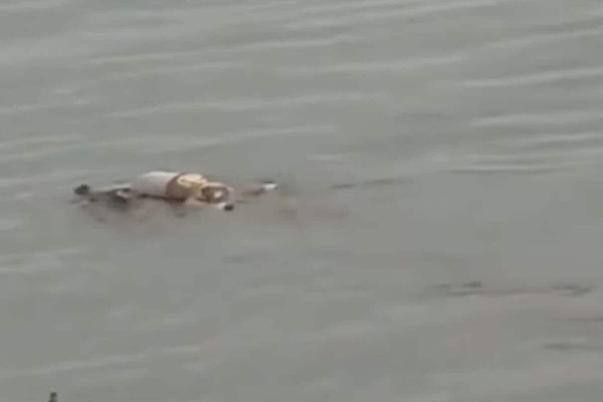 インドネシア ワニ 少年