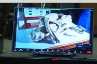 【動画】メキシコ議会で公開された「宇宙人のX線写真」...人間ならあるはずの部位がない