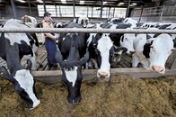 「サマータイム先進国」イギリスから日本への忠告