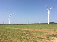 資本主義によって貧困を克服する