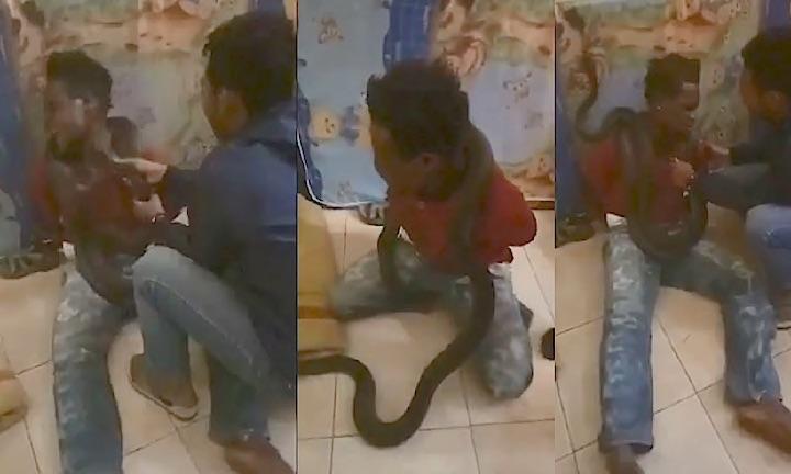 ヘビを押し付けられる容疑者の男性　ツイッターにアップされた動画より