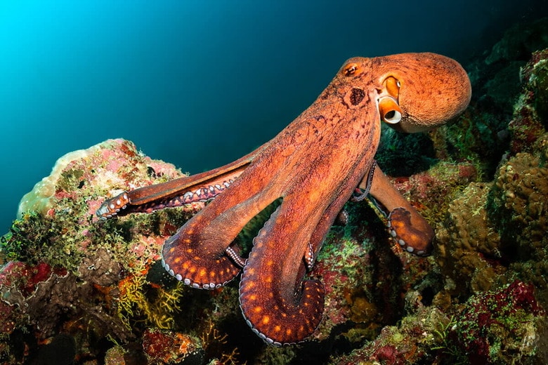 （写真はイメージです）　Volodymyr Ivanenko-iStock