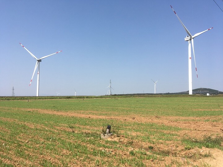 中国内陸部の大規模農場。タバコの刈り取りが終わり、緑肥となる大麦が覆っている（筆者撮影）