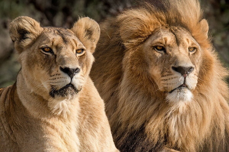 （写真はイメージです）　Shawn Levin-Shutterstock