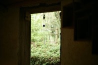 トイレの外に「覗き魔」がいる...娘の訴えに家を飛び出した父親が見つけた「犯人の正体」にSNS爆笑【2025年の衝撃記事10選】