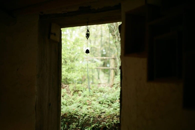 （写真はイメージです）MChe Lee-Unsplash