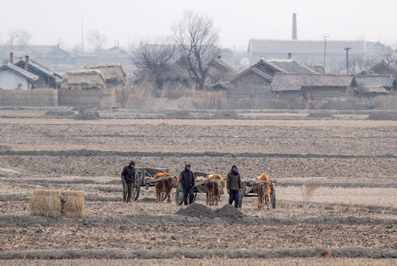 北朝鮮の若くて安い労働力は大きな魅力だ（写真は穀倉地帯の黄金坪、2012年）　JACKY CHEN-REUTERS