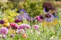 英国式の最新ガーデニング・トレンドは、「ガーデニングしないこと」