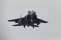 有志連合がパリ多発テロ関係者などISIS指導者ら10人殺害