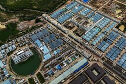 カンボジア、大型詐欺事件「首謀者」を捜査中＝政府対策委トップ