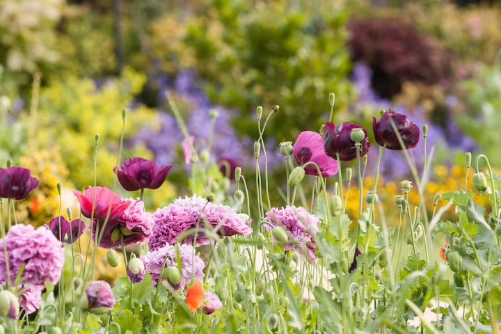 「自然のまま」にするには、放置すればいいわけではない...... david010167 -iStock