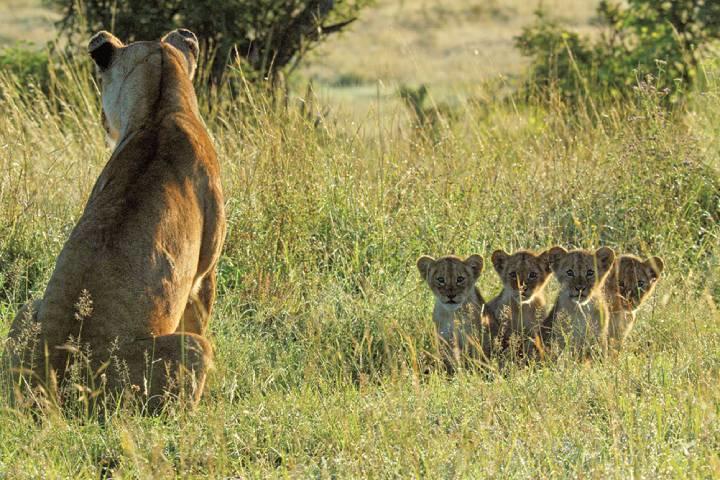 ©2019 JDP/BBC/DISCOVERY CHANNEL