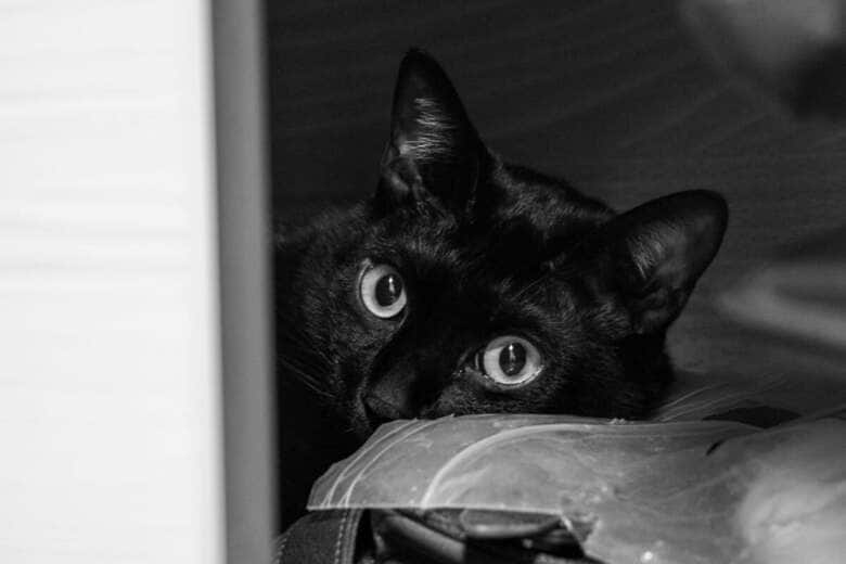 ひとりぼっちを救うのは…（写真はイメージです）　Levi Wedge-Unsplash